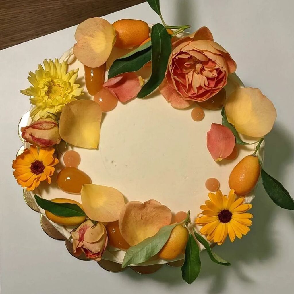 seeyouinstokey's tweet photo. Make your cake-dreams come true - even if it isn’t your birthday - with one of these beauties from @estersn16. Available for pre-order 🥳
#seeyouinstokey #stokey #stokenewington #n16 #shoplocal #independentbusiness #stokeyfolks #stokeylocal #welovestokey #hackney #stoke… https://t.co/uvYMcJhDwX