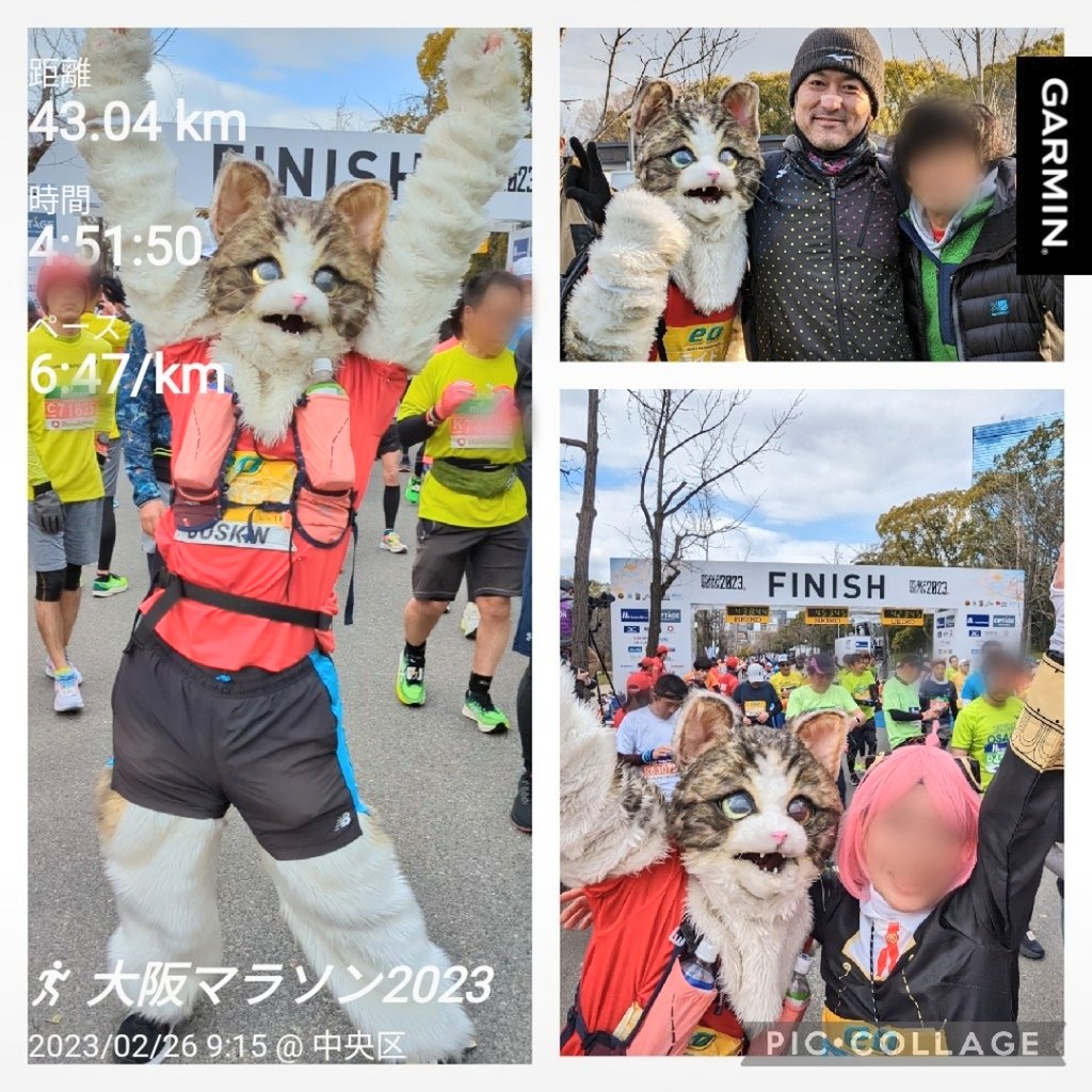 ライド🐱ネコで走る人 tweet media