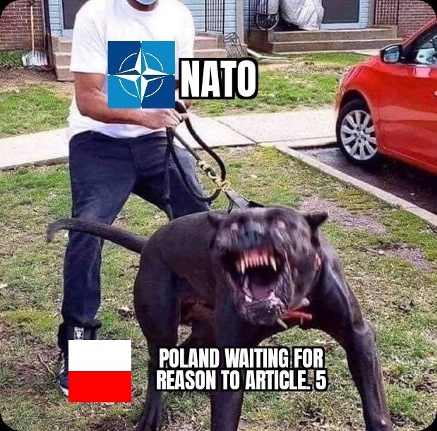 Fp7RDWCXoAMHjQS