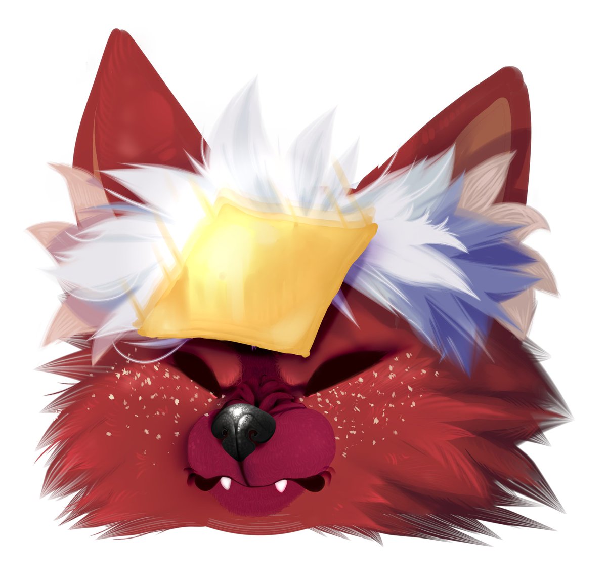 Asher!!! (Varcitie) tweet media