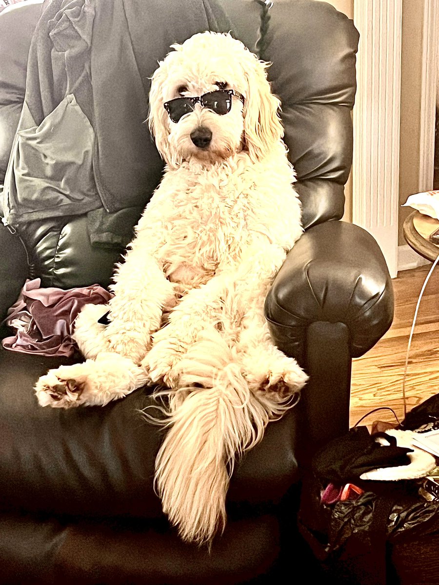 “Why are you talking to me?! Can you not see that I’m trying to chill?!” 🤣🤣

YES…that IS a remote under his right paw &amp; he sat like this for probably a solid minute! 🤣🤣