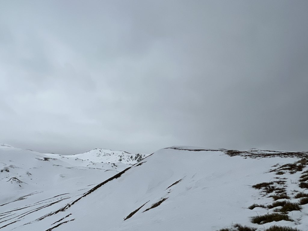 ButterflyOutdo1's tweet photo. Winter hikes 🗻 https://t.co/riMpif5Tn0