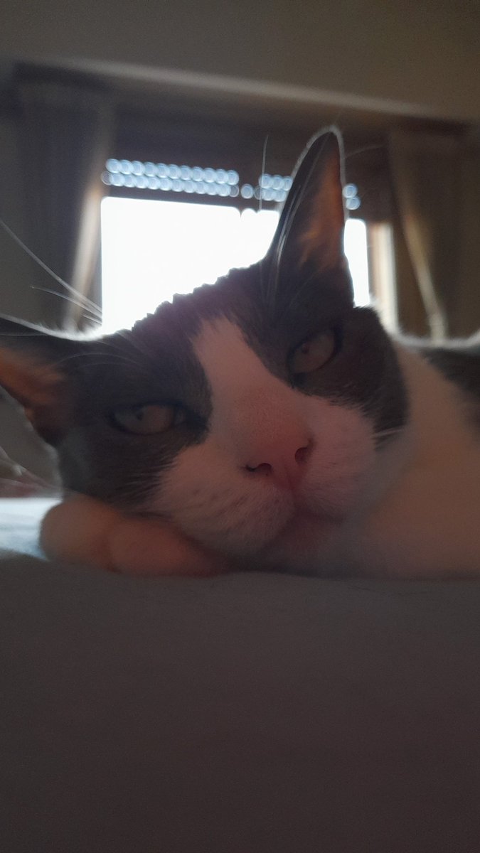 Luciano Herrero 🇺🇦+22 tweet media