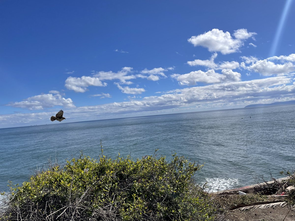 lanzaa31's tweet photo. Beautiful Day in San Pedro🌴🌊 https://t.co/ihtRIGUEOr