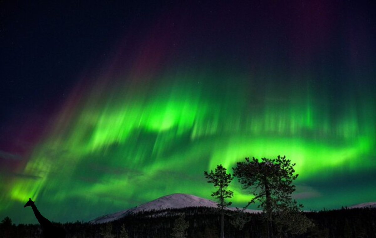 The #NorthernLights from Crowborough, East Sussex are taking my breath away.