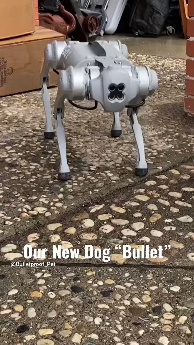 Our newest dog! Meet Bullet! #bulletproofpetproducts #indestructibone #robotdog #go1 #unitree #go1pro #brentwoodca #dogoftheday #robodog