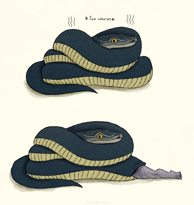 Leg. 