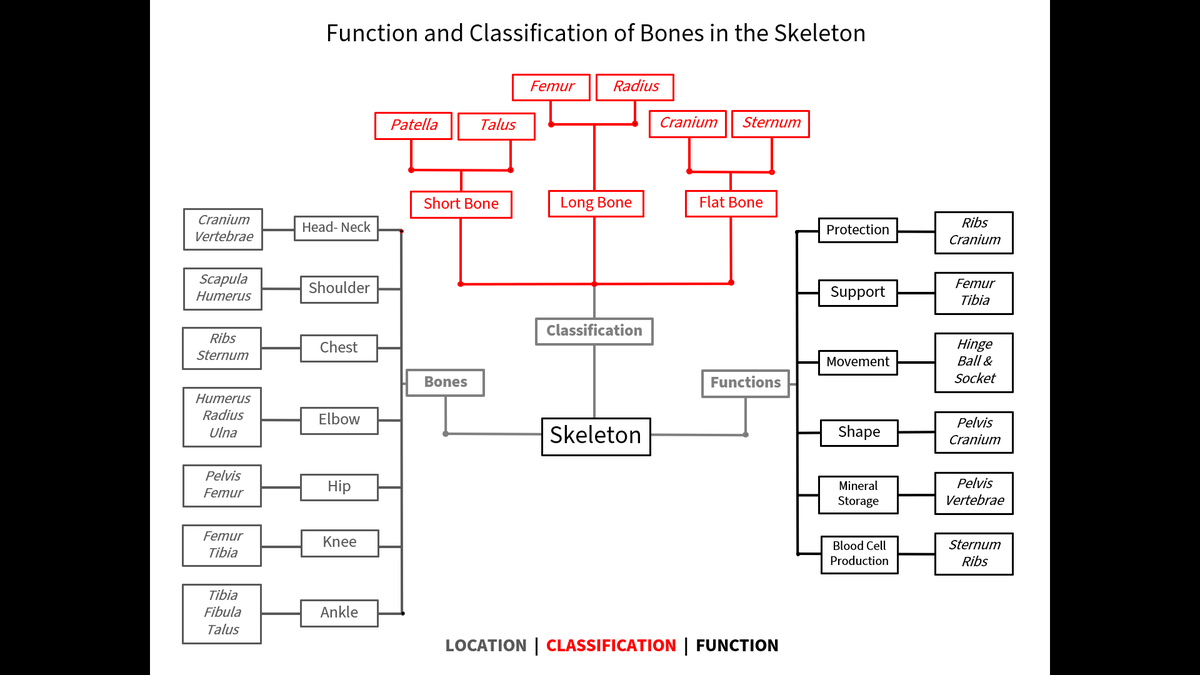 Zeph Bennett tweet media