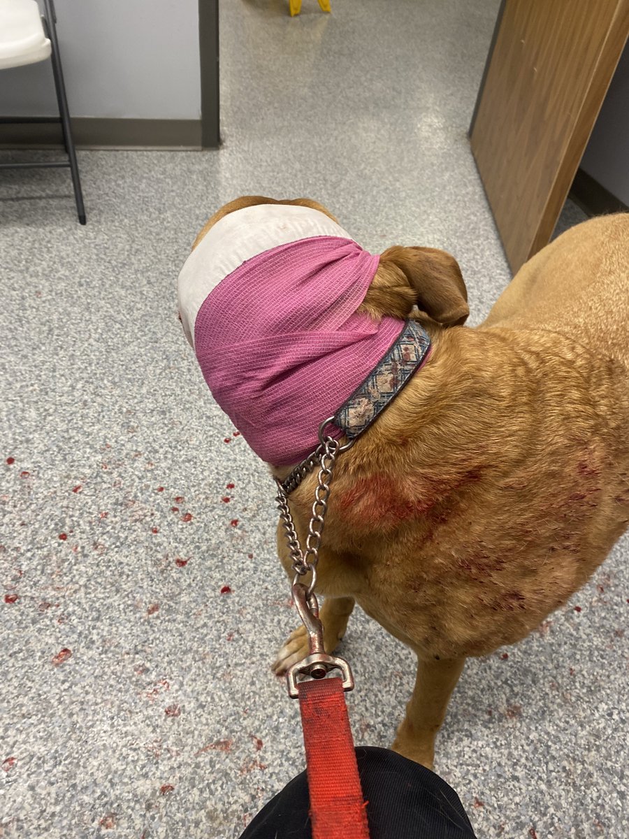 Julia Loon tweet media