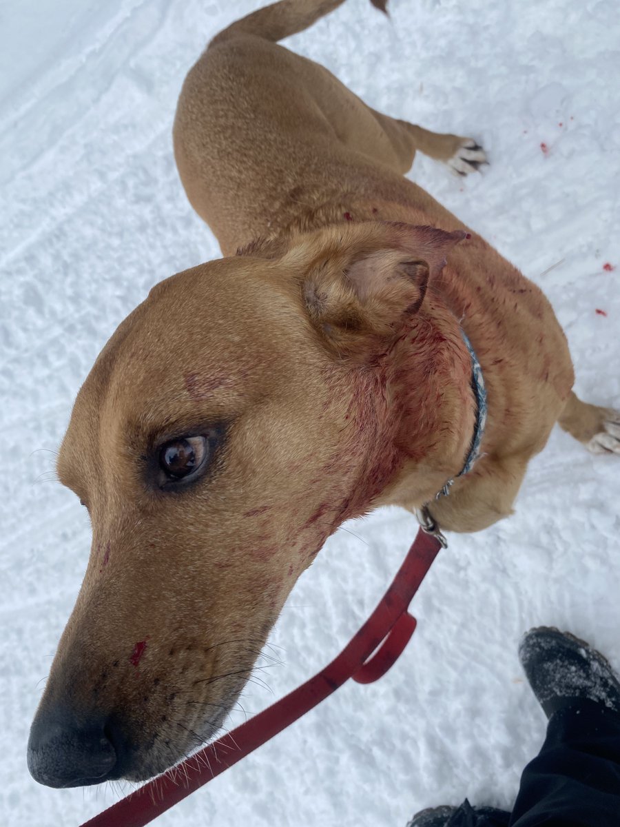 Julia Loon tweet media