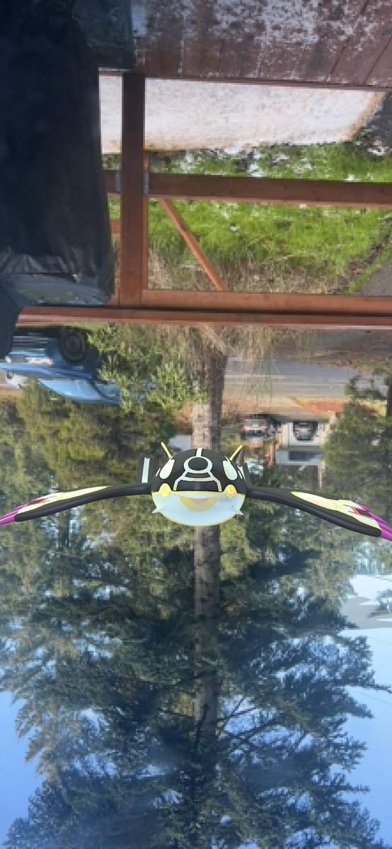 Deleight's tweet photo. Got a laugh at odd glitch while playing with my buddy this morning 😂🙃 @PokemonGoApp @NianticLabs https://t.co/nksmwttDZf