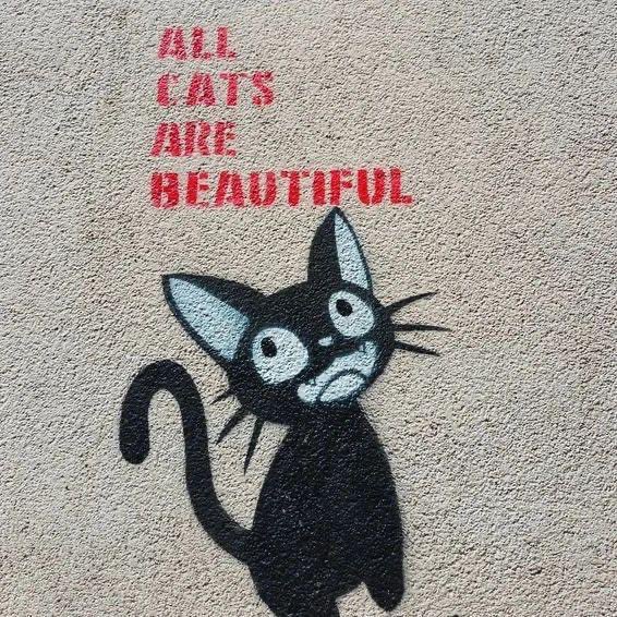 Autoplectic1's tweet image. 💕💕💕💕💕 #goldenretrieverlife #DogsofTwittter #doglovers 
Original: floridamapla_