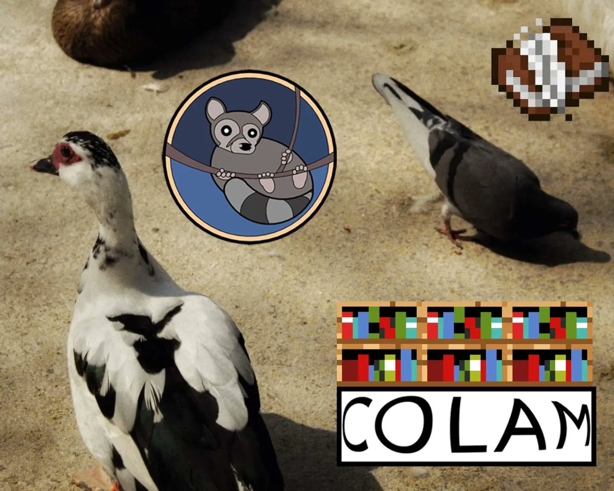 Egresade colmeca, ayudanos a construir la BAC, la Biblioteca Ambientalista Colmeca, un proyecto de repositorio de tesis colmecas sobre temas de medio ambiente. 

Puedes ayudarnos llenando el forms 
forms.gle/pYzn127mNkMXTH…