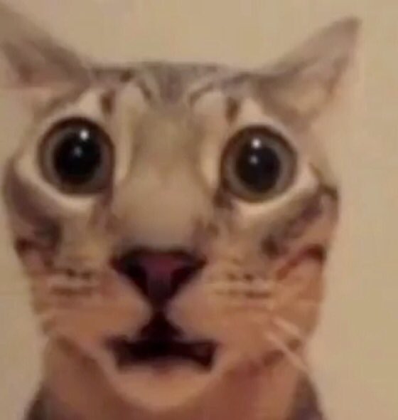 prodskull's tweet photo. @ShisuiTheDonn__ are u out of ur fucking mind https://t.co/zrdFSyJttI