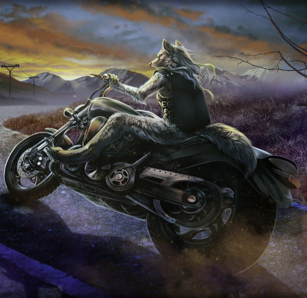Utopia_Monkey's tweet photo. @Jidion6 Fury going home like: https://t.co/WeMY9DrUTh