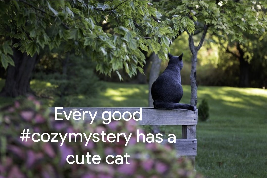 Pondering including one or two cats in my next #cozymystery