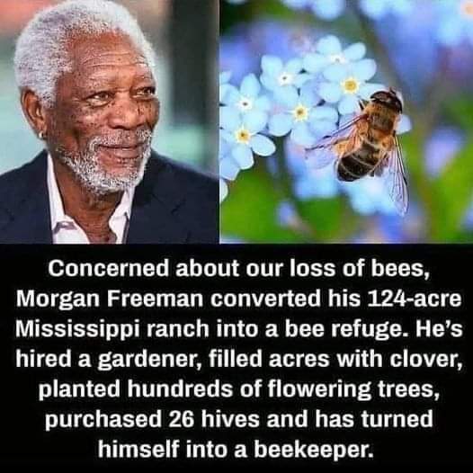 lucero maloney tweet media