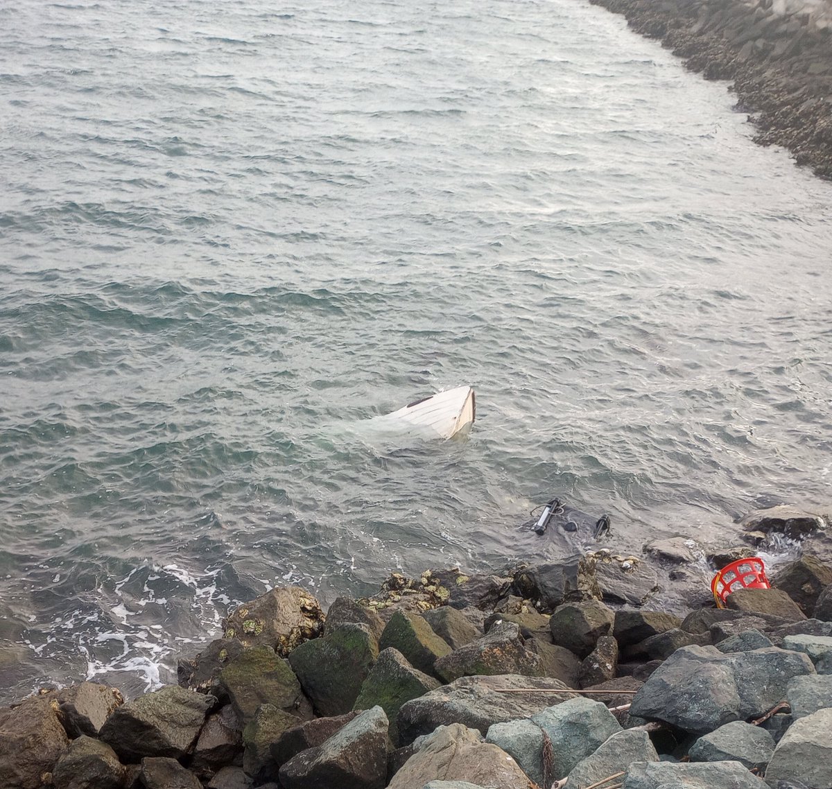 Aftermath of the storm in SD.  Heard a few boats broke free of their moorings, but thankfully I didn't see any washed up on the rocks