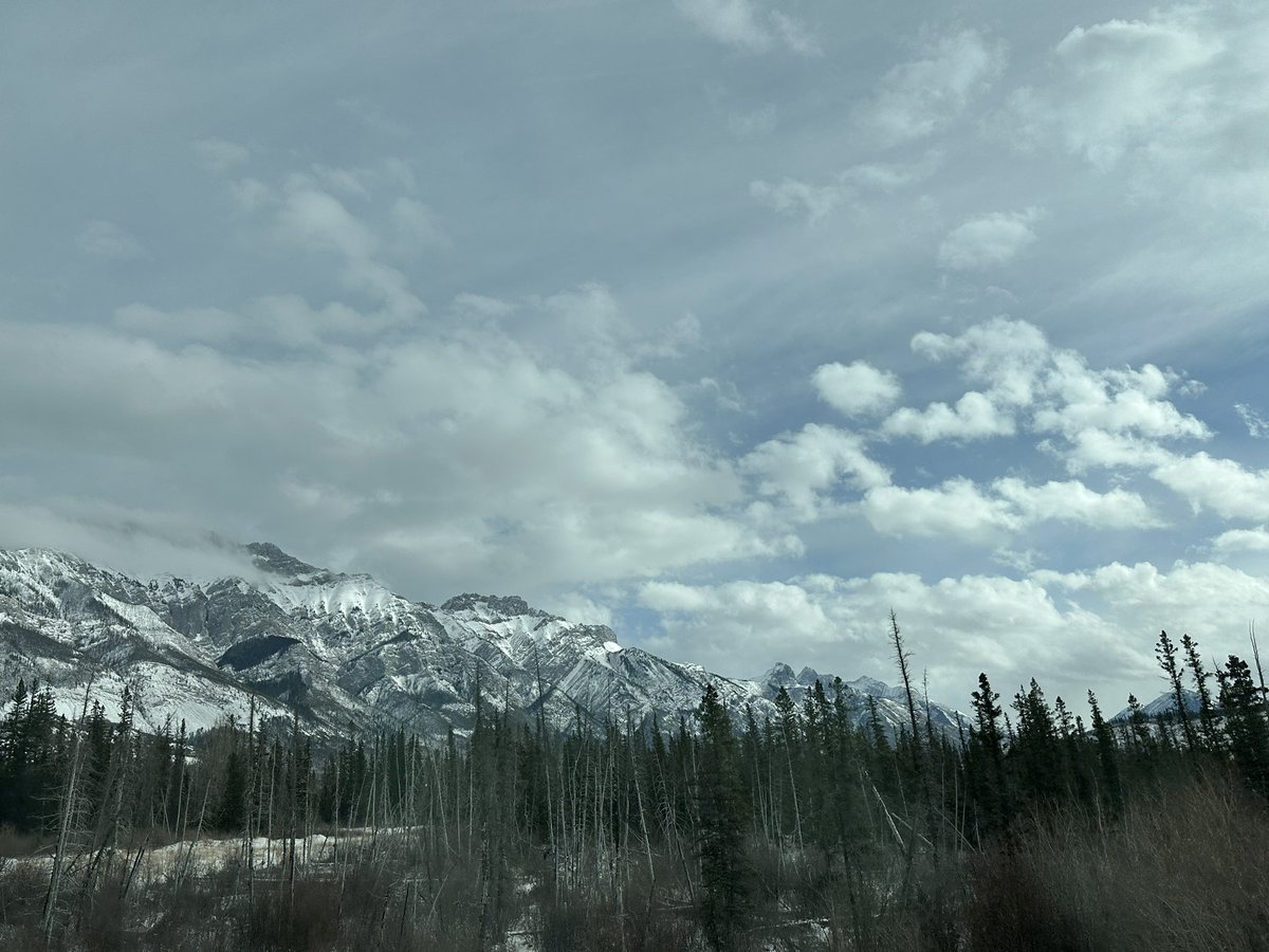 JasperHalf's tweet photo. #Jasper you never disappoint! See you again in April for the #JasperHalfMarathon !! @jasper_half @JasperNP @TourismJasper #myjasper #runjasper #jasperhalf #halfmarathon @MarmotBasin #MarmotBasin @MultisportsCan #exploreCanada #Jasperrunning #multisportscanada #runalberta https://t.co/MnZvDbxBai