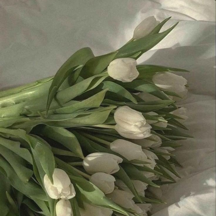 ⠀  ꯭ ⊹ ɑlwɑys be 𝐤𝐢𝐧𝐝.

𝘏𝘪𝘵𝘰𝘬𝘢 𝘠𝘢𝘤𝘩𝘪 % 𝘛𝘰𝘬𝘪
22 𝘺𝘦𝘢𝘳𝘴 𝘰𝘭𝘥 • 𝘈𝘳𝘵𝘪𝘴𝘵

𝘭𝘦𝘵'𝘴 𝘣𝘦 𝘧𝘳𝘪𝘦𝘯𝘥𝘴? 
💌  &amp; 𝗋𝗍
  ꯭   ꯭   ꯭   ꯭ ⠀ ꯭ ⠀ ꯭ ꯭ ꯭ ꯭   ꯭   ꯭   ꯭   ꯭ ⠀ ꯭ ⠀ ꯭   ꯭   ꯭   ꯭   ꯭ ⠀ ꯭ 
#hqrp #rp #haikyuu