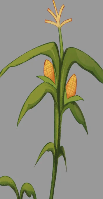 some cropped crops 