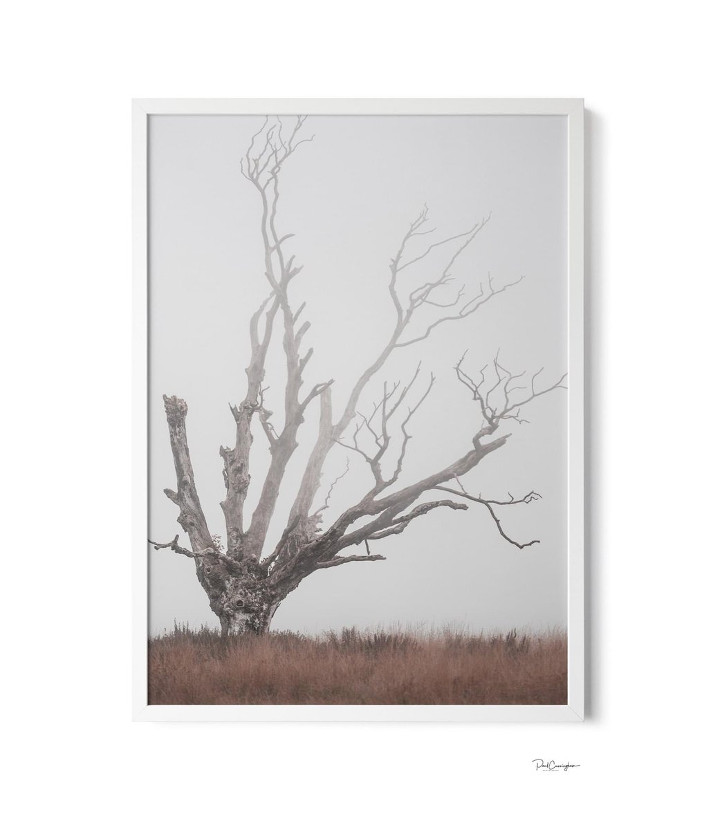 Photopau1's tweet photo. We are the Dead
#lonetree #tree #nature #highlandsranch #landscape #colorado #denver #trees #littleton #lonetreecolorado #ig #landscapephotography #centennial #castlerock #treesofinstagram #naturephotography #parkmeadows #parker #sunset #singletree #photography #raw #magic #coun https://t.co/RxkzPOKqCa
