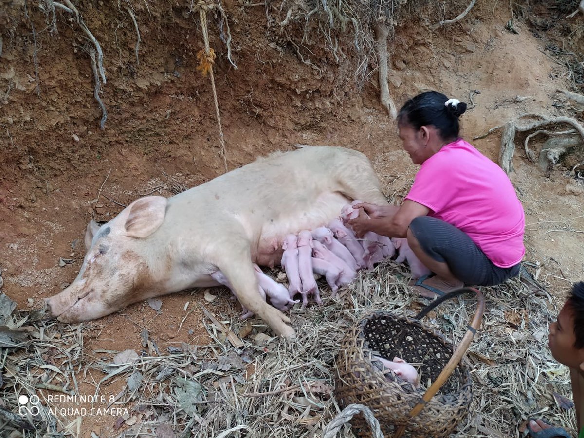 Sanfter Tourismus • Palawan
<a href="/UniqueRefugium/">Sanfter Tourismus • Palawan</a>

Aktiv Unterstützen Statt Dritte Welt Spende
     Sanfter Nachhaltiger Tourismus !
Unterstütze uns durch empfehlen • folgen • teilen
         und Urlaub machen !

#palawan