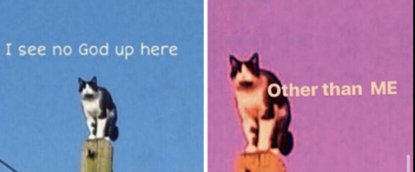 Avdol_lovebot's tweet photo. guess I'll try being on this hell app a little more often https://t.co/JZ8yZqiwAp