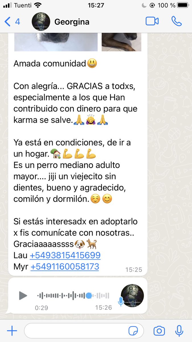 domene_fiorella's tweet photo. Buenas noches gente!!! Les agradecería si difunden para que consigamos un hogar para este viejito!
Es de la calle y lo salvaron de tremenda bichera y ahora busca un hogar que lo mimen mucho para pasar sus últimos añitos, es súper dosil y es de tamaño mediano https://t.co/lOcvcSO5bl