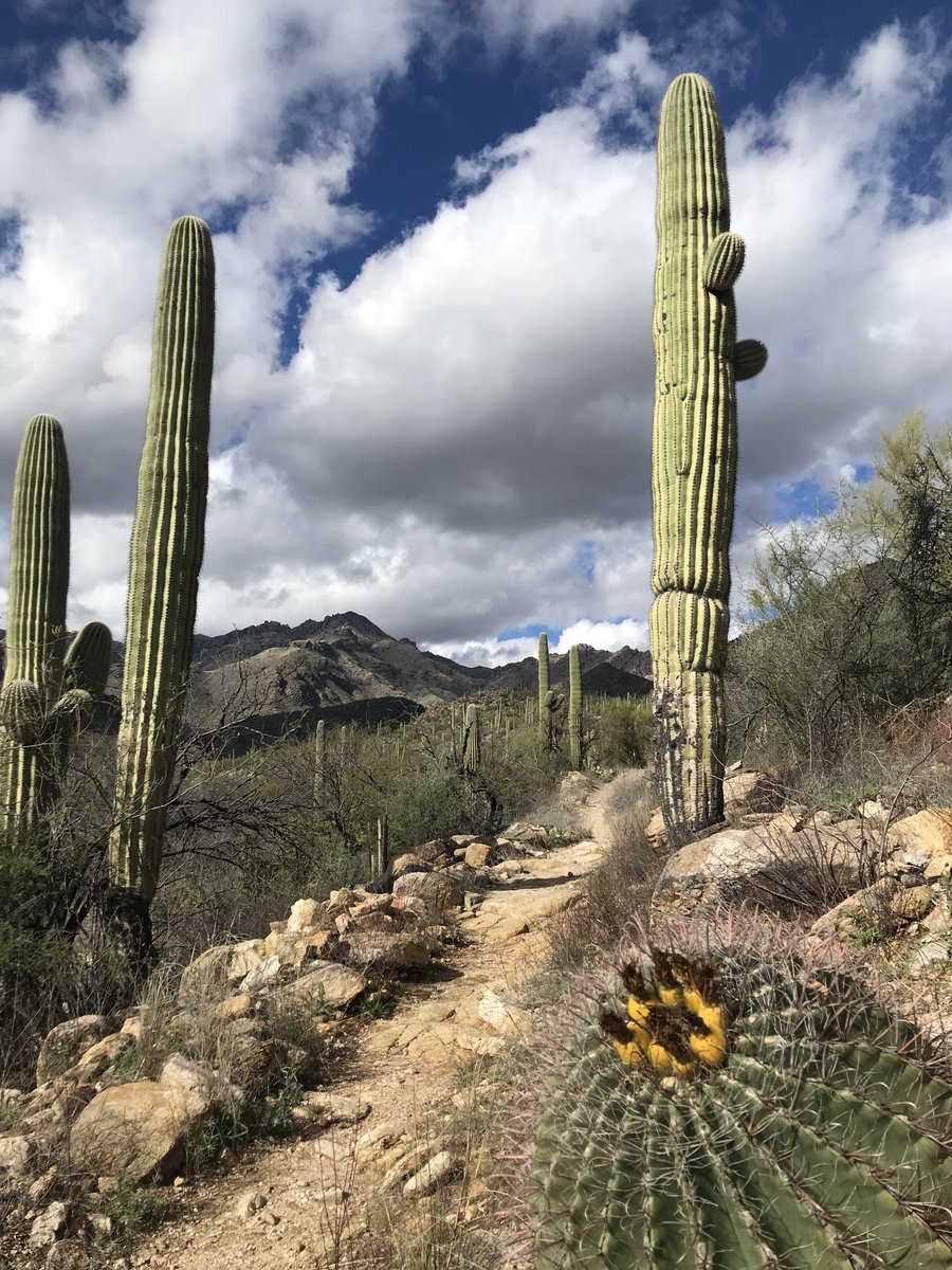 JonAhlgrim's tweet photo. I never thought I’d enjoy hiking so much. Glorious afternoon at Bear Canyon #tucson #retiredlifeisgood https://t.co/jxXYK1fKKm