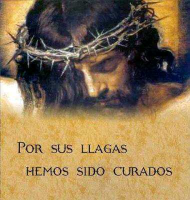 Un Católico Alegre tweet media