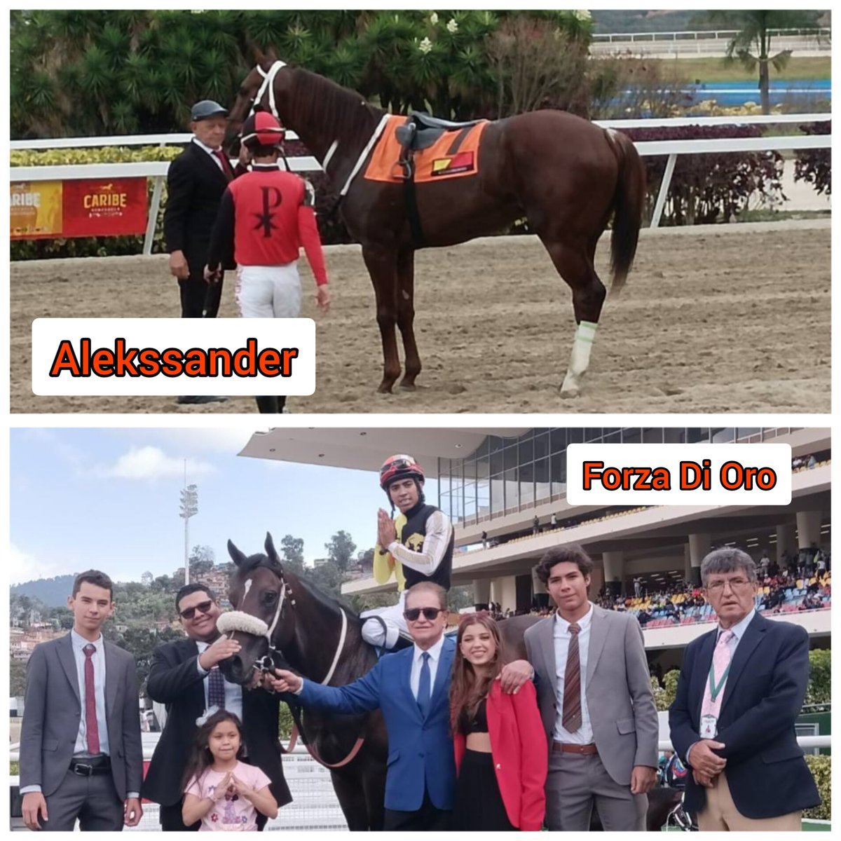 drclarrazabal's tweet photo. Los caballos Alekssander y Forza Di Oro triunfaron al galope este domingo en el Hipódromo La Rinconada. Ambos nuestros pacientes.  Intervenidos quirúrgicamente y con total éxitos. Muchas gracias a sus propietarios por confiar en nosotros. ¡Qué sigan las victorias!.🏆🔥🇻🇪 https://t.co/Q5NxC2bl7E