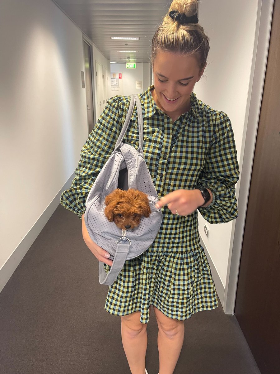 Look who decided to stop by and deliver some cuddles. Puppies2u is more like it!