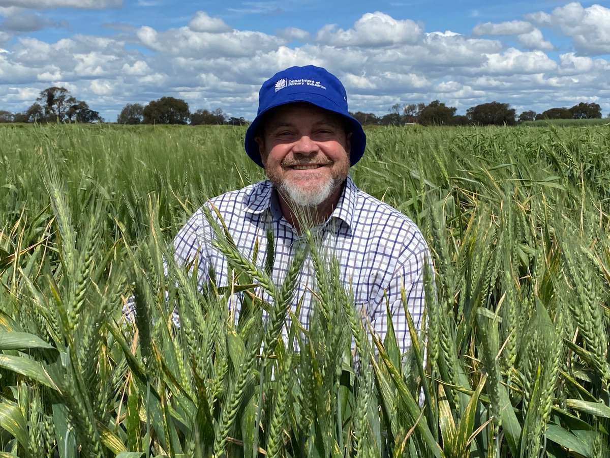 #grdcupdates at #Goodiwindi Tuesday &amp; Wednesday and then again at #Mullaley on Friday.

Some of the @nswdpi peeps chatting are:
🟢Jon Baird: Farming Systems
🟠Simphy: Fusarium, disease threats in 2023 &amp; the effects of summer crops on nematodes &amp; diseases.

<a href="/GRDCNorth/">GRDC North</a> <a href="/theGRDC/">GRDC</a>