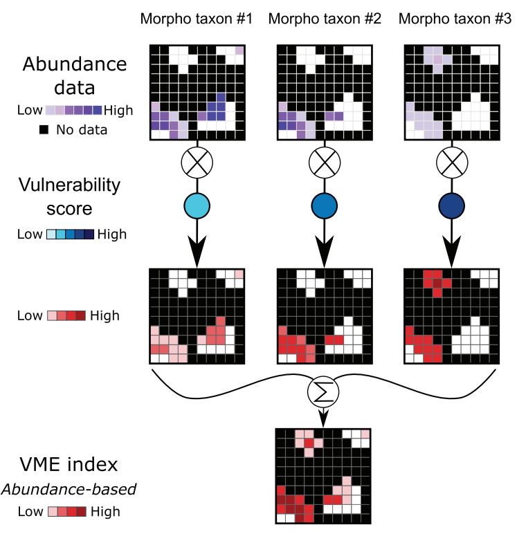 An image-based index to identify vulnerable marine ecosystems!
Charley Gros et al combine abundance data from images and species vulnerability scores into a single metric to guide conservation and management efforts. 
<a href="/IMASUTAS/">IMAS</a> led <a href="/ICES_ASC/">ICES</a> JMS paper: 
academic.oup.com/icesjms/advanc…