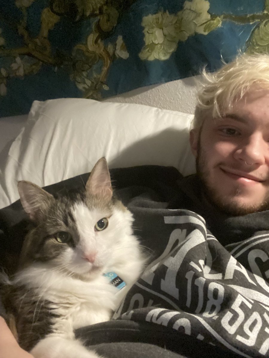 adam cyrus (he/him) on Twitter "Baby keeping me company"