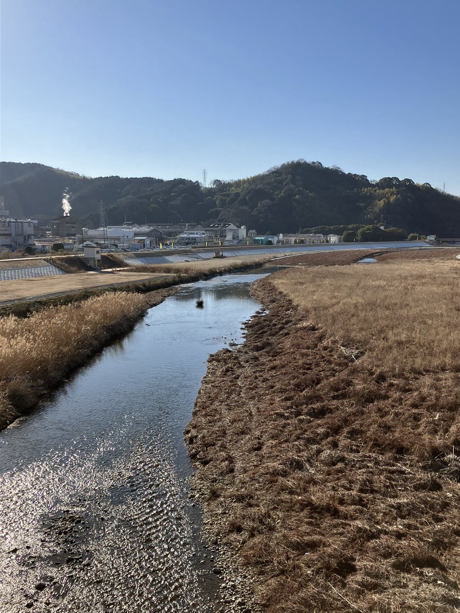 おはようございます。たつの市は快晴です☀
今週は社内イベントの準備でバタバタしそうな予感…！
 
本日もよろしくお願いいたします😊
 
#企業公式が毎朝地元の天気を言い合う
#企業公式冬のフォロー祭り
#企業公式相互フォロー