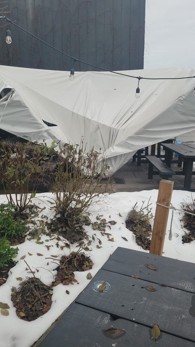 Smugglers Trail Caskworks tweet media