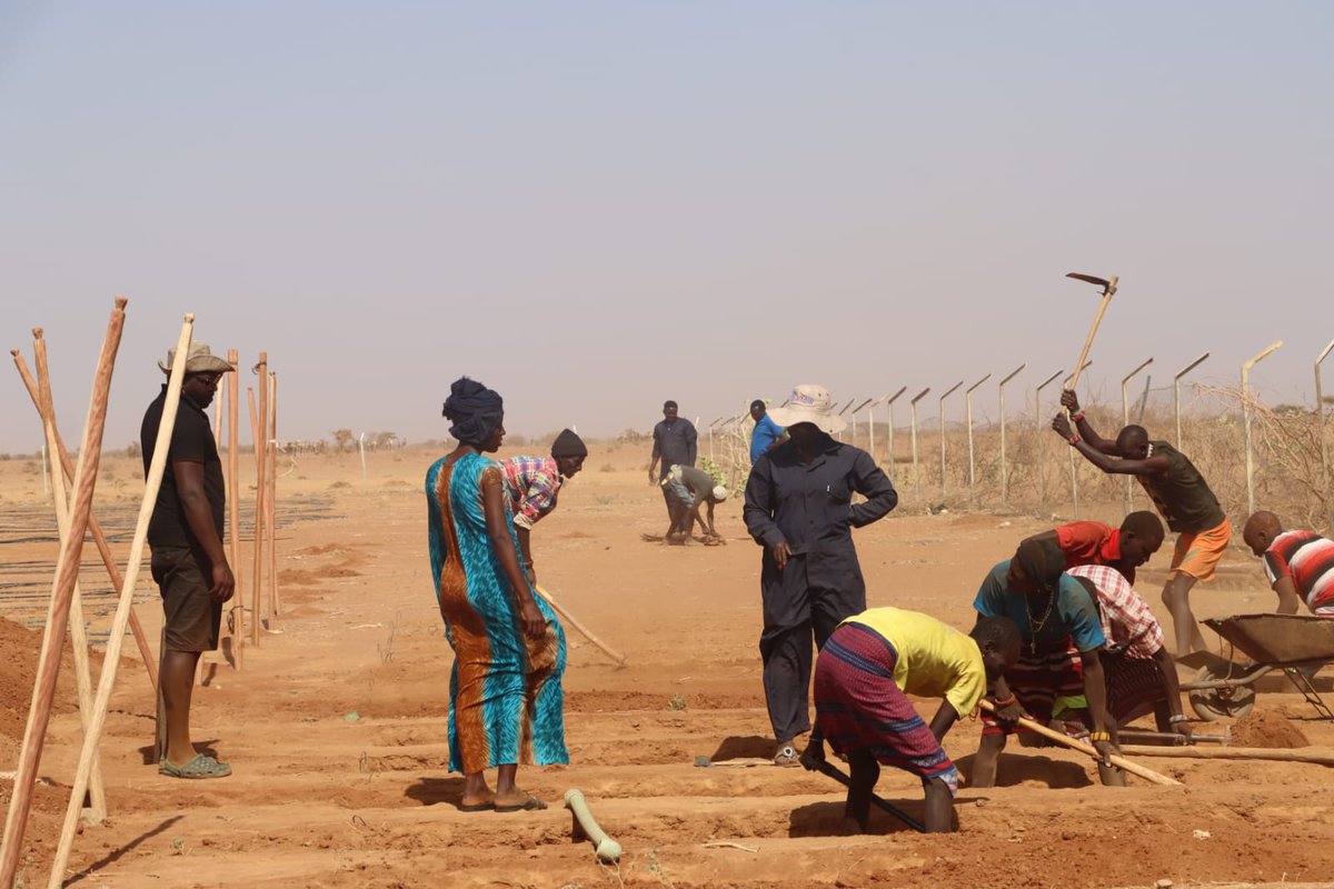 plantvillage's tweet photo. Our team in Marsabit County, Kenya, led by ASALs region coordinator, @Melodine20, is progressing with regenerating land near the Ririma borehole through wick irrigation—a sustainable, large-scale project for growing vegetables 🥦🍅🥕 to back up our drought mitigation efforts 💪 https://t.co/tM8JxMCLHj