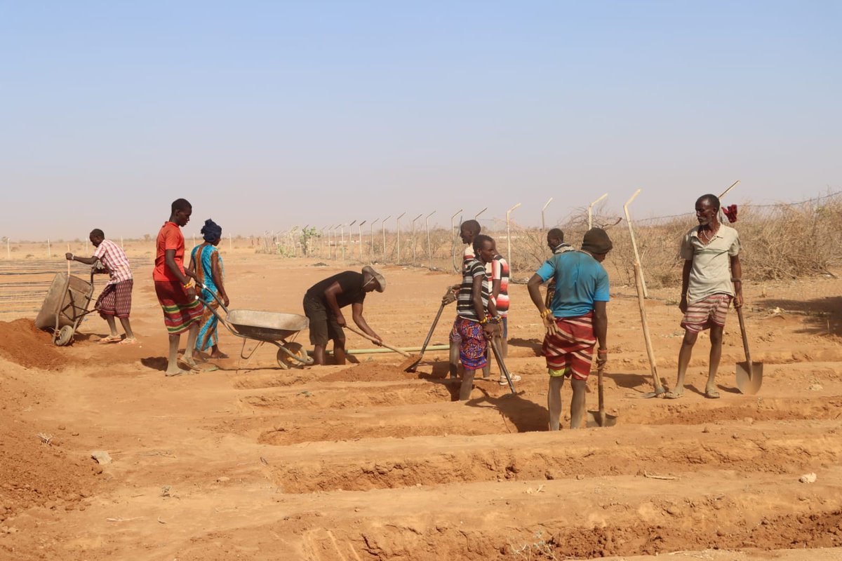 plantvillage's tweet photo. Our team in Marsabit County, Kenya, led by ASALs region coordinator, @Melodine20, is progressing with regenerating land near the Ririma borehole through wick irrigation—a sustainable, large-scale project for growing vegetables 🥦🍅🥕 to back up our drought mitigation efforts 💪 https://t.co/tM8JxMCLHj