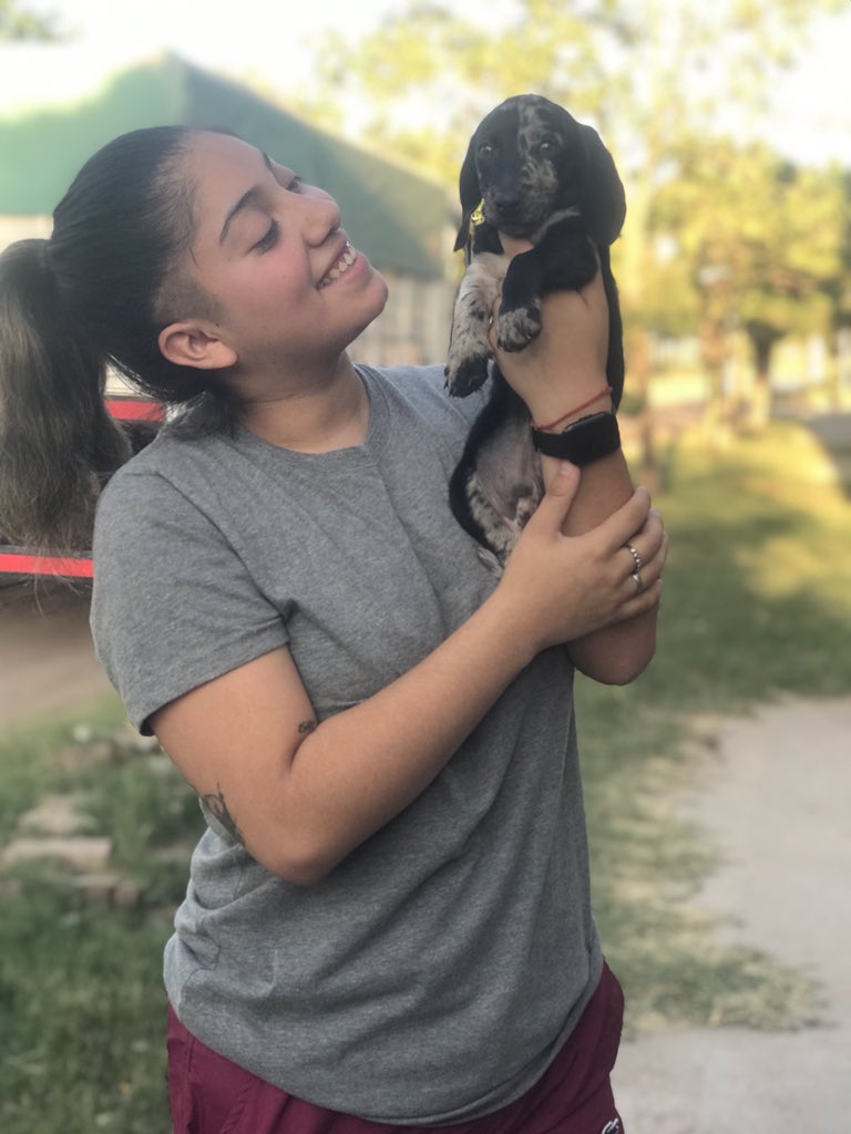 💖🐶