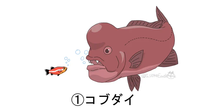 (再掲)
大人と子どもで見た目が全然違う動物たち 