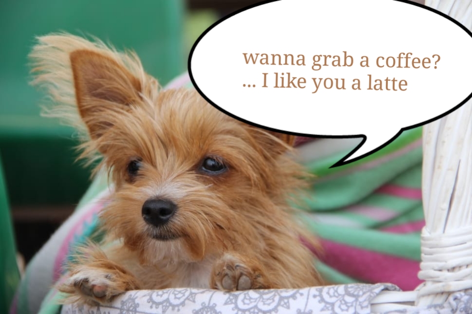 coffeeblogger1's tweet photo. Wanna grab a coffee? I like you a latte! #coffeebrewing #coffeebrewingmethods #coffee #cute #puppy #goodmorning https://t.co/VlQXmOW858