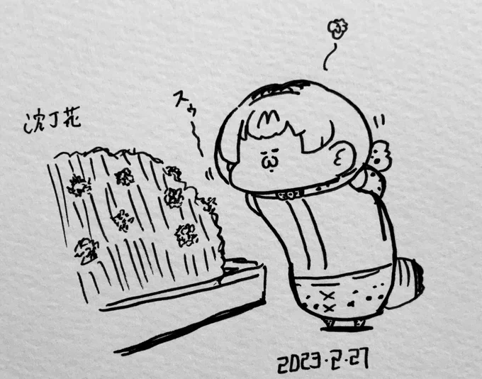 沈丁花とサーバルちゃん 