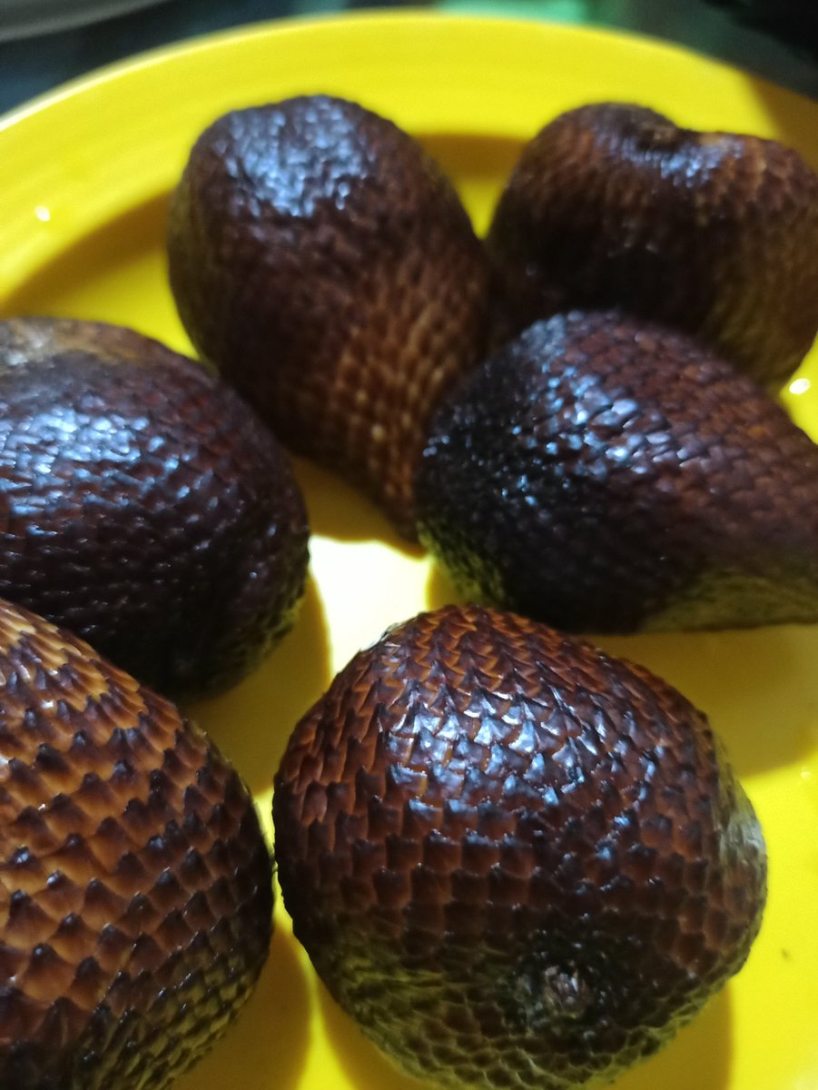 coolcrocodile77's tweet photo. Ini salak, who like this fruit?? https://t.co/mR1PXUQJSs