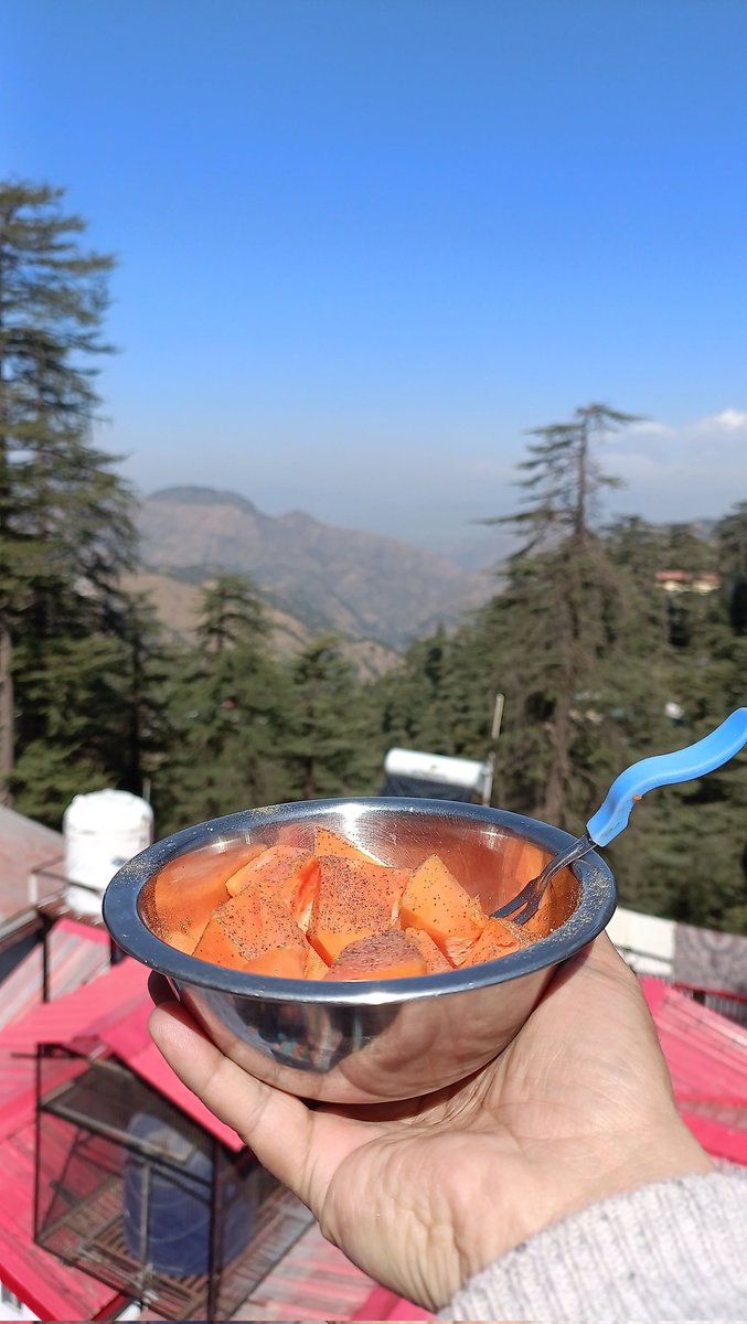 Amtthakur's tweet image. शिमला वालों का दिन... 
धूप सेको, फल खाओ...

#shimla #mondaythoughts #middayVibes