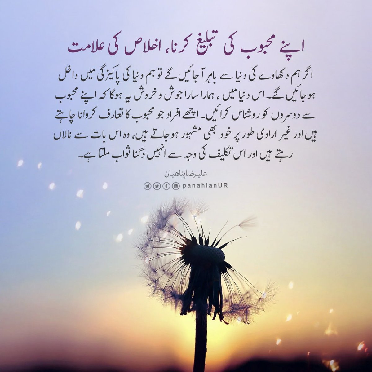 PanahianUR's tweet photo. 💌 اپنے محبوب کی تبلیغ کرنا، اخلاص کی علامت

#استاد_علیرضا_پناهيان #ہر_روز_ایک_پیغام
✅@PanahianUR https://t.co/Re5xtFvJSf