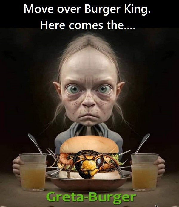 DavidMu46239762's tweet photo. @Sassygal1971 @fightfireswfire Re Greta burger. https://t.co/GKd46vE3L6