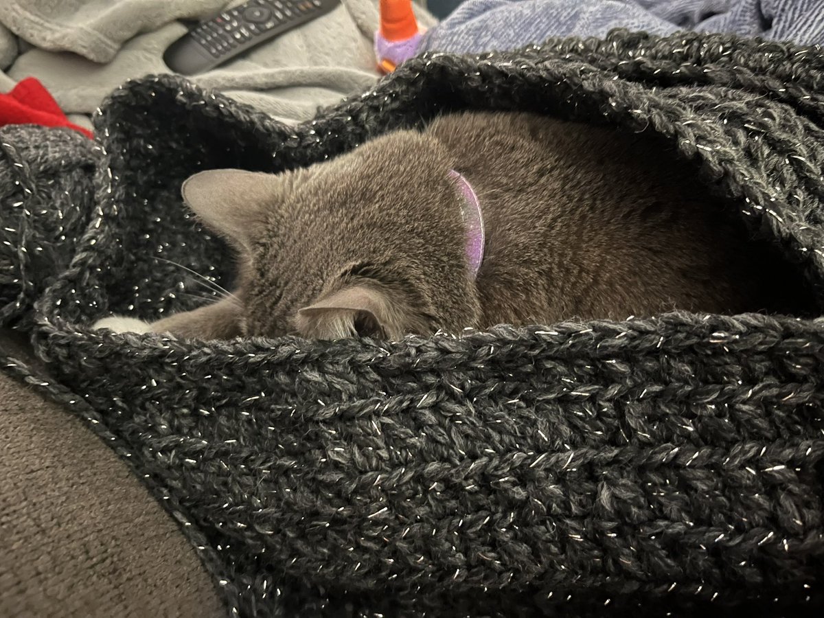 BurtyButt's tweet image. I help