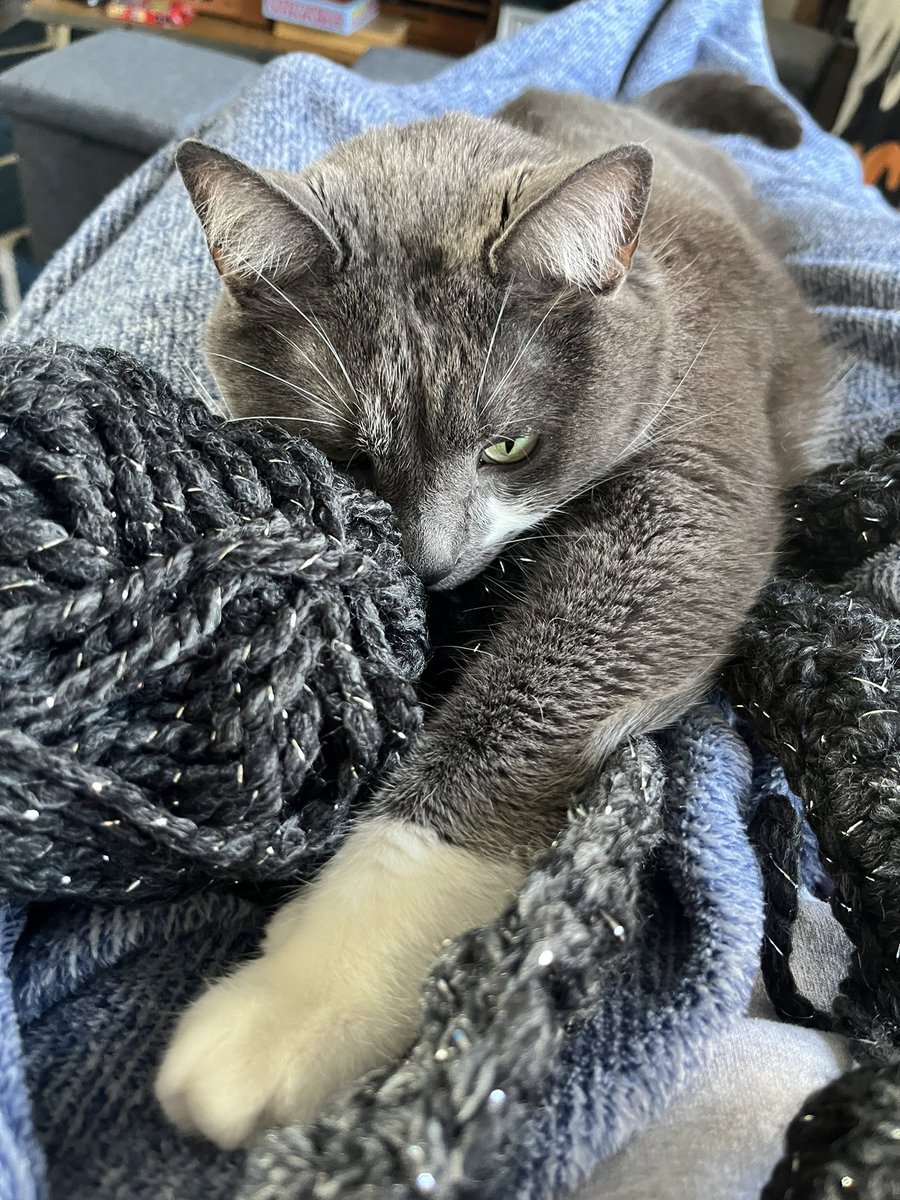 BurtyButt's tweet image. I help